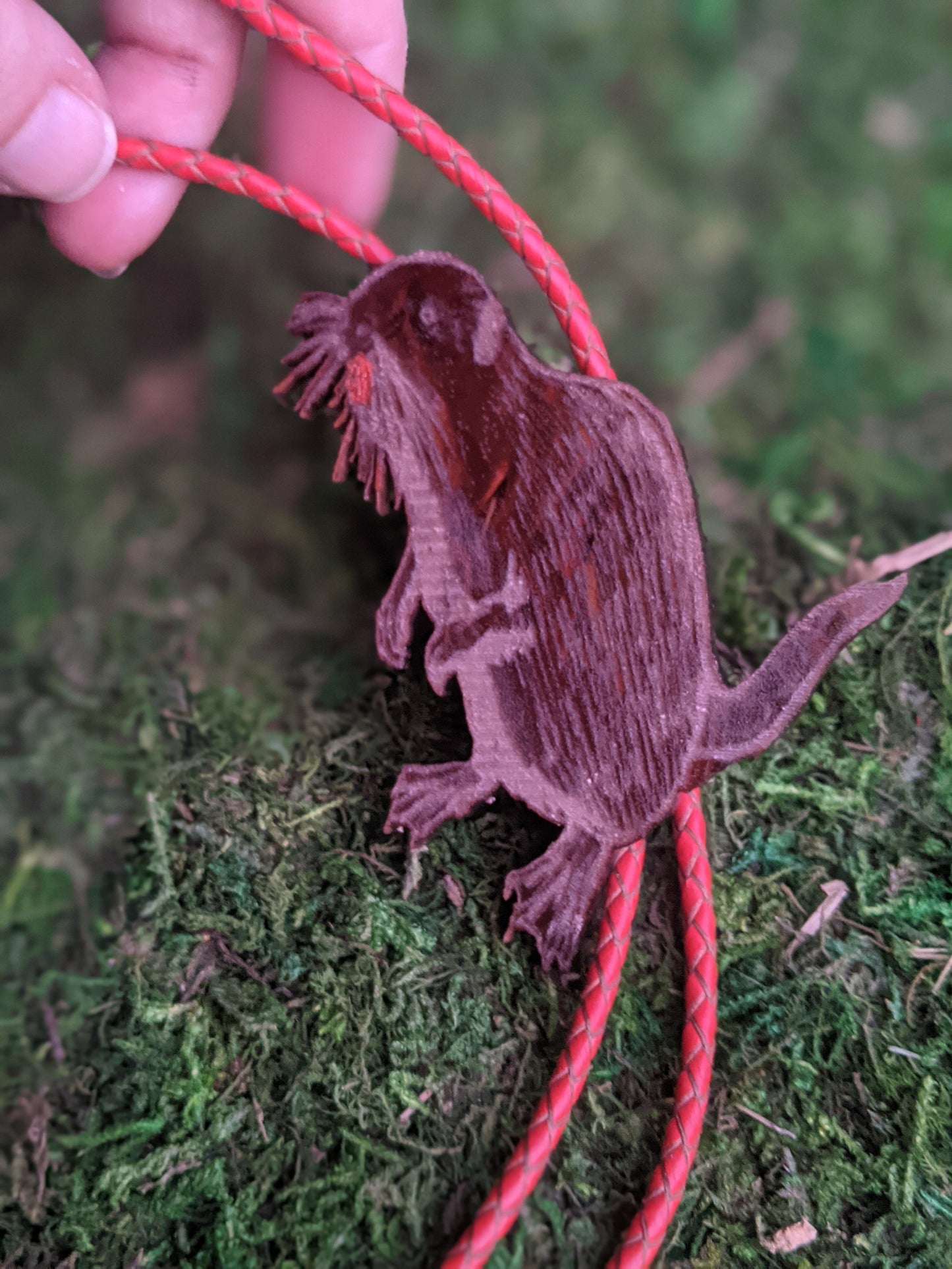 Nutria Bolo